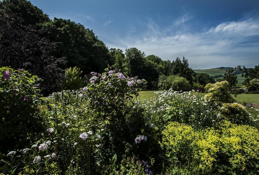 Wood Advent Farm Washford ภายนอก รูปภาพ