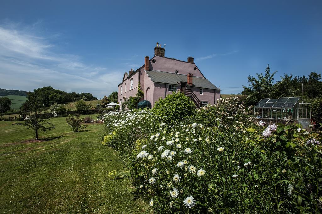 Wood Advent Farm Washford ภายนอก รูปภาพ